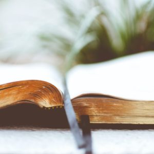 Open bible